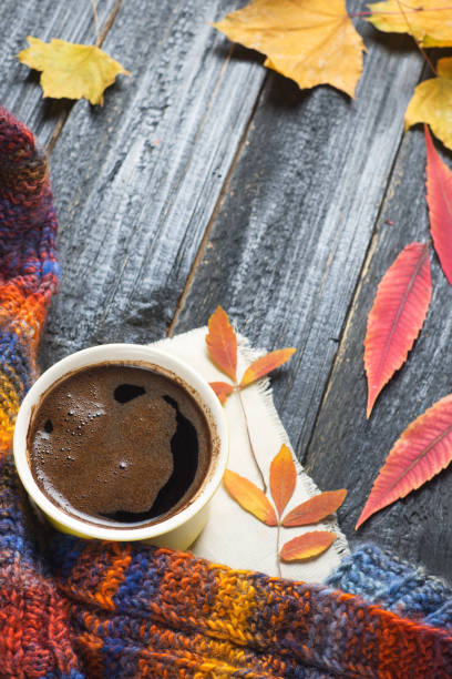 istock Hot coffee or chocolate in a mug on a dark background with dry leaves 1063290198