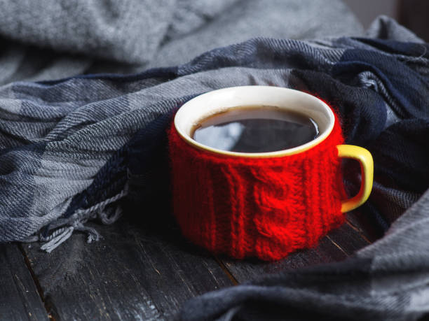 istock Coffee mug in a decorative homemade red sweater with a scarf 1063293580