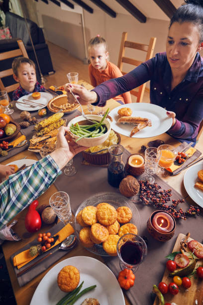 istock Traditional Holiday Stuffed Turkey Dinner 1063298674