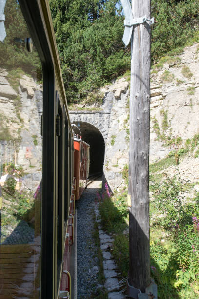 istock Scenics from the Schynige Platte railway, Switzerland 1063298812