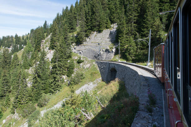 istock Scenics from the Schynige Platte railway, Switzerland 1063298816