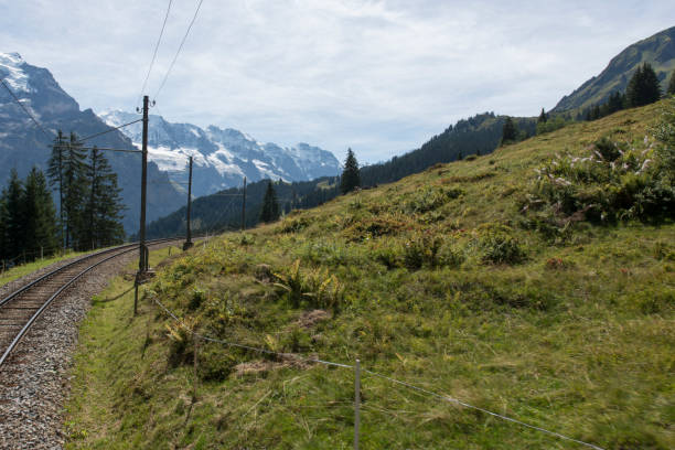 istock Scenics from the Schynige Platte railway, Switzerland 1063298836