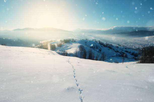 istock Fantastic winter landscape. Dramatic overcast sky. Creative collage. Beauty world. 1063304084