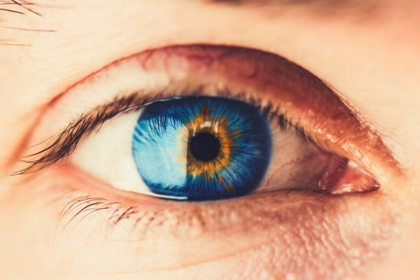 istock Blue Eye of a Man 1063308918