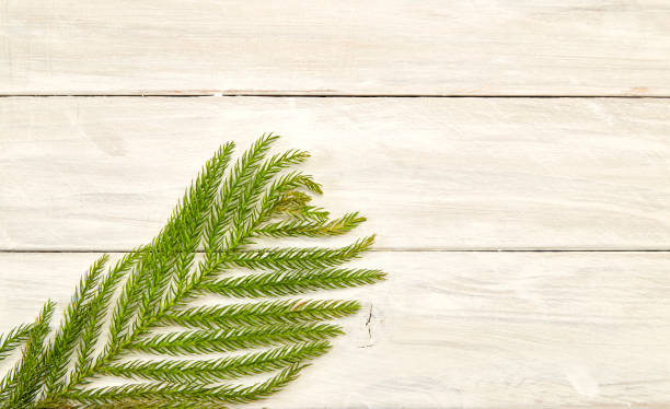 istock Christmas composition with frame of fir branches . Flat lay 1063308950