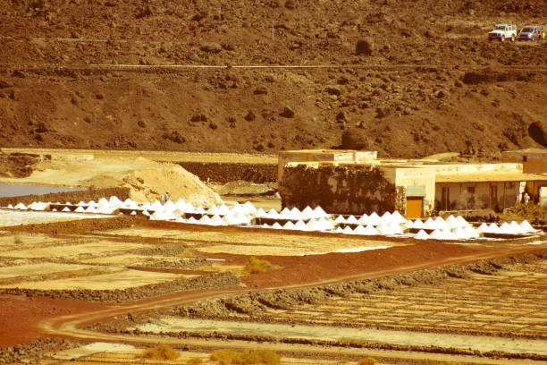 istock Lanzarote saltworks salinas de Janubio colorful Canary Islands 1063309418