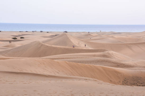istock Landscape in Tropical Volcanic Canary Islands Spain 1063311658