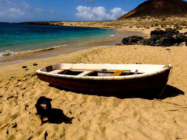 istock Landscape in Tropical Volcanic Canary Islands Spain 1063311934