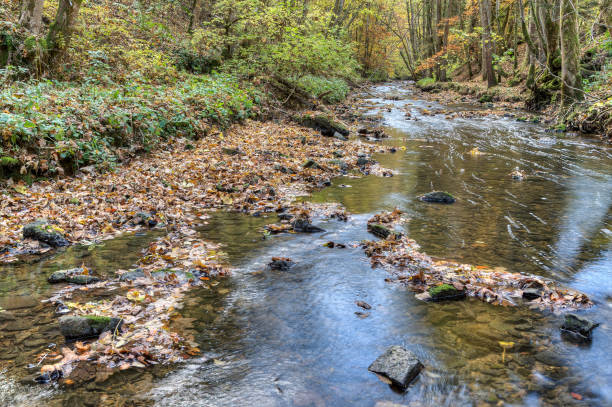 istock Autumn impressions from the Neckar valley. 1063313628