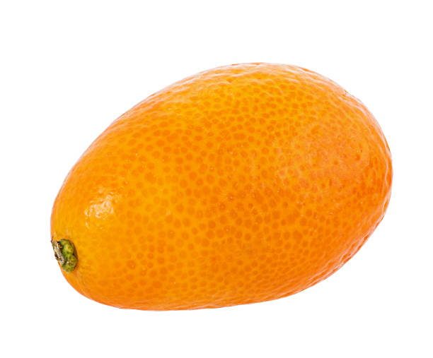 istock Kumquat isolated on white 1063314986