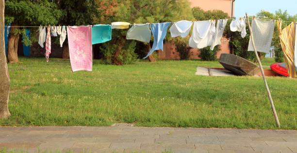 istock laundry spread out to dry in a yard 1063318300