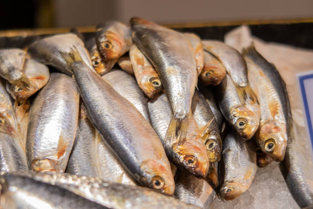 Sardines at a Fishmongers in London's Borough Market