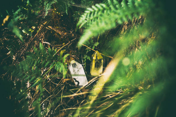 istock Beautiful crystals in the forest, crystal healing 1063320710