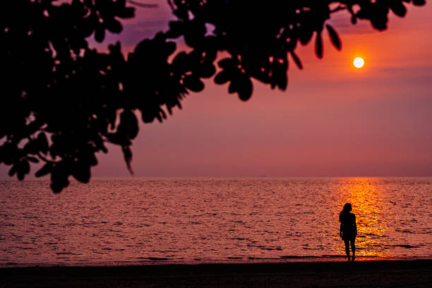 Image silhouette of Young lady walking on the sunset beach.