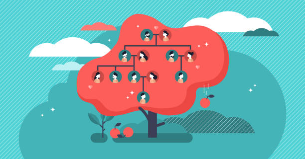 Family tree flat vector illustration. Example of relatives connection data. Family tree flat vector illustration. Example of relatives connection data. Human genealogical heritage collection from one family depicted in scheme in form of apple tree. Old kin tradition symbol. family tree chart stock illustrations