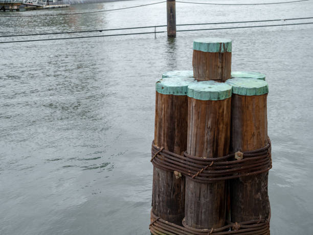 Wooden dock columns sitting near a pier in a local dock