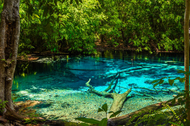 istock Emerald Pool, Yosemite National Park, Krabi, Thailand 1063352278