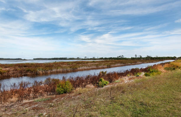 istock Assateague Island Wetlands 1063353320