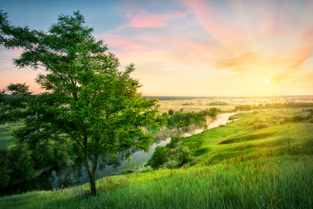 istock River flowing in valley to the sun 1063369470