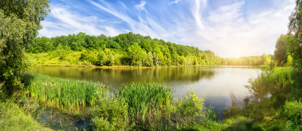 istock Lake with green trees on shore under bright sun 1063370064