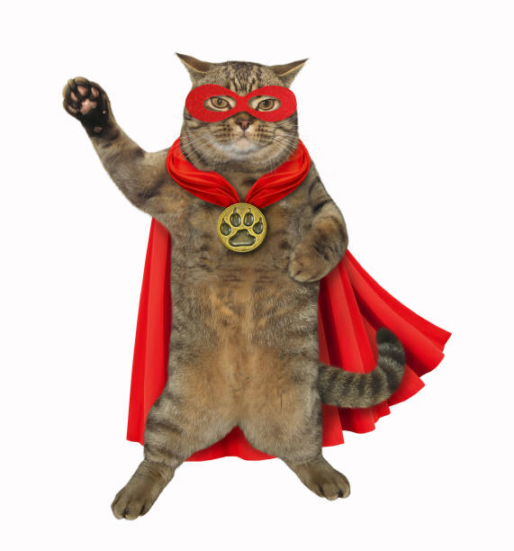 cat is a super hero - gold jewelry necklace locket imagens e fotografias de stock