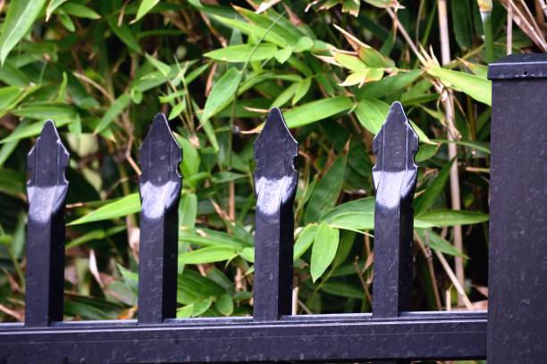 istock Fence top in front of bush 1063372778
