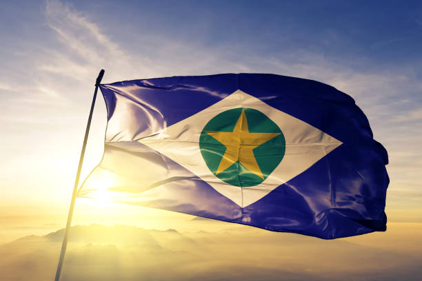 Mato Grosso state of Brazil flag textile cloth fabric waving on the top sunrise mist fog Mato Grosso state of Brazil flag on flagpole textile cloth fabric waving on the top sunrise mist fog coat of arms photos stock pictures, royalty-free photos & images