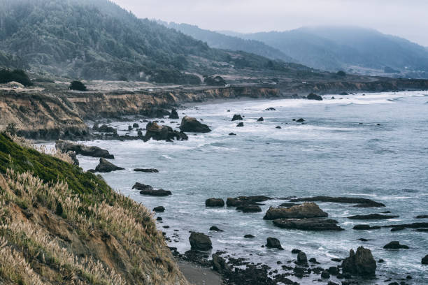 istock Northern California Coastline in Autumn 1063378902