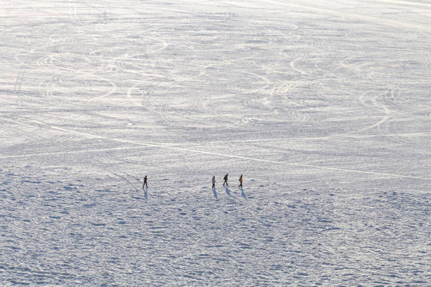istock Car track in fresh snow. Lake Baikal 1063379018