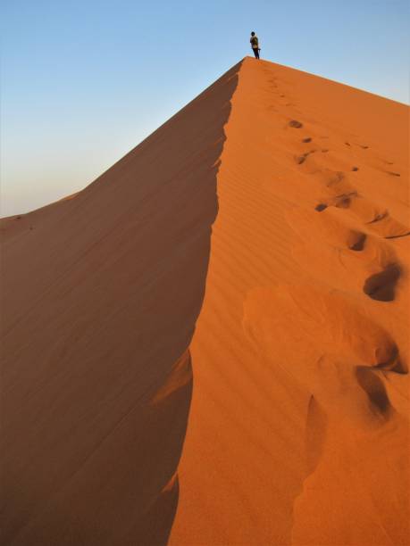 istock Morocco Erg Chebbi orange dunes at sunrise 1063381828