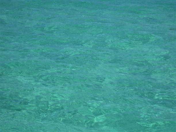 istock Dominican Republic's blue caribbean sea 1063381962