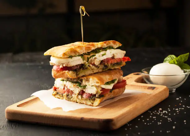 Delicious sandwich with chicken and mozzarella cheese on a dark background