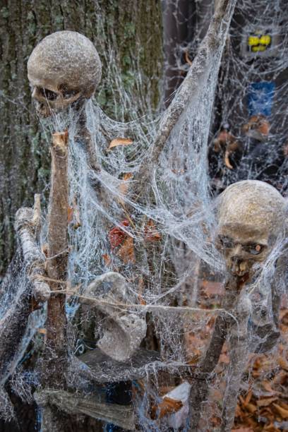 istock Beautiful traditional decorative elements for Halloween celebration. Beautiful Halloween backgrounds. 1063390132