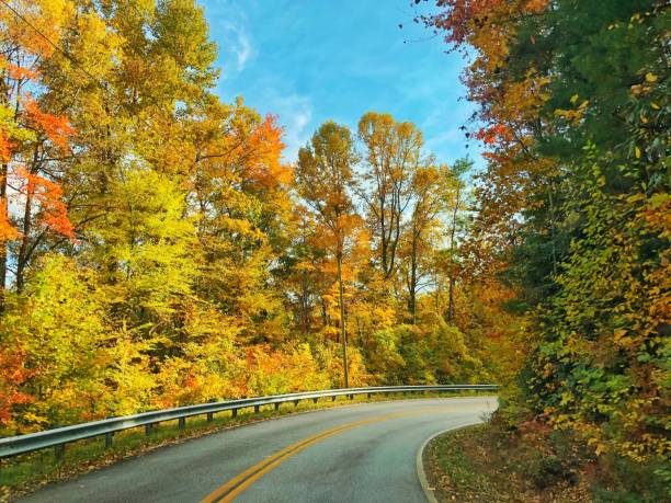 istock Fall in North Georgia USA 1063398492