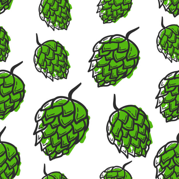 Seamless pattern with hand drawing hop on white background. Seamless pattern with hand drawing hop on white background bar drink establishment stock illustrations