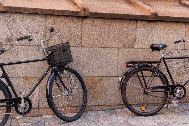 istock Two old black classic bicycles ready for excursion, tour, trip, ride 1063415366