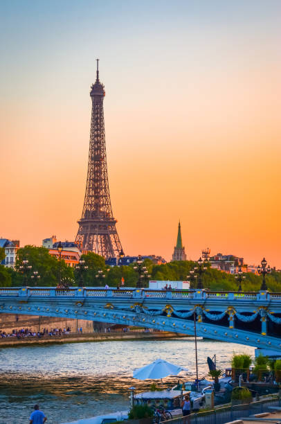 вид на эйфелеву башню, мост александра iii и реку сену в париже, франция - paris france panoramic seine river bridge стоковые фото и изображения