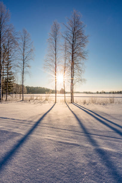 istock Sunny winter day in Finland 1063418910