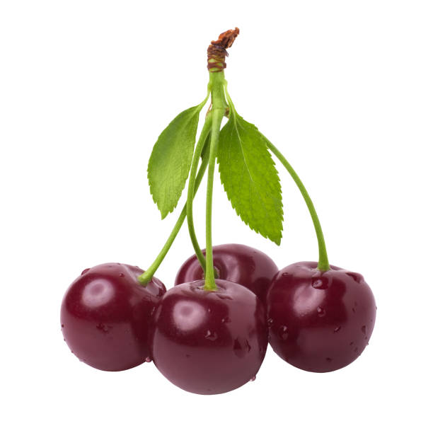 istock Ripe red cherry in water drops isolated on white background 1063421950