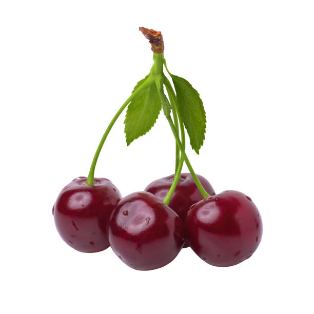 istock Ripe red cherry in water drops isolated on white background 1063421952