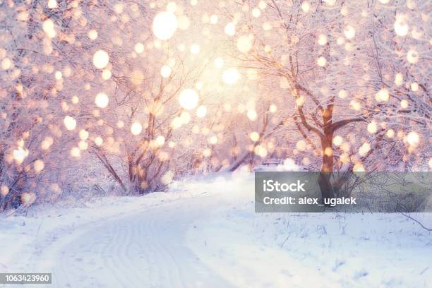 Winter Holiday Illumination Stock Photo - Download Image Now - Winter, Christmas, Snow