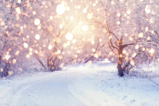 Photo of Winter holiday illumination