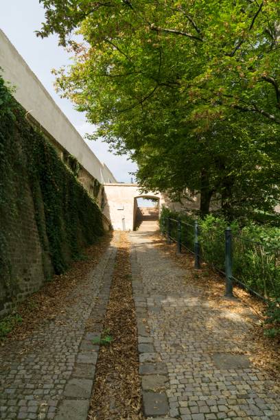 istock Walls and trees in the park. 1063432852