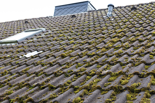 Roof tiles of a house are covered by moss