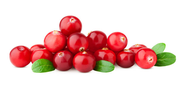 istock cranberry isolated on white background, clipping path, full depth of field 1063445948