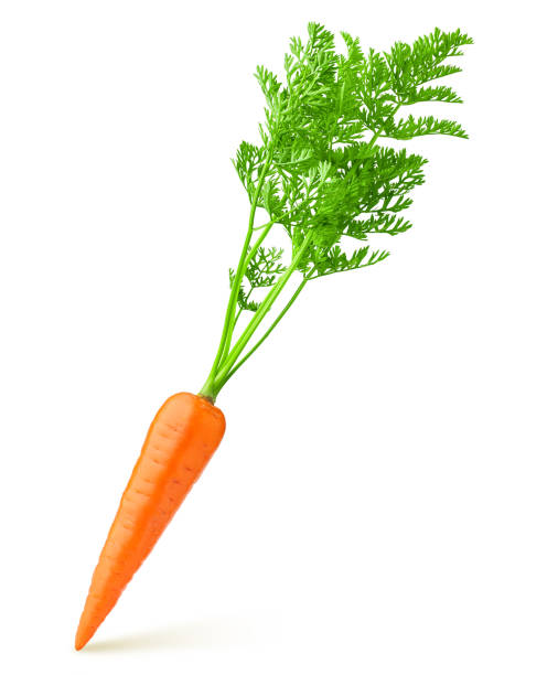 istock carrot isolated on white background, clipping path, full depth of field 1063445968
