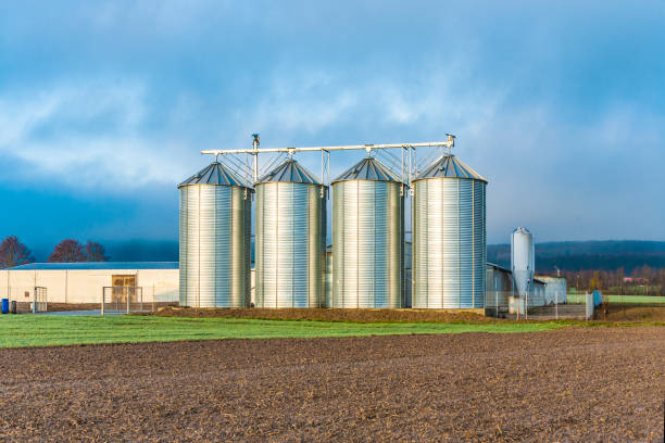 istock Silo in beautiful landscape with dramatical light 1063446028