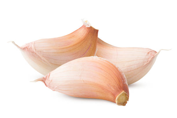 istock garlic, isolated on white background, clipping path, full depth of field 1063446048