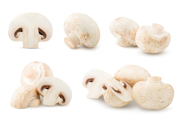 istock mushroom, champignon, isolated on white background, clipping path, full depth of field 1063447080