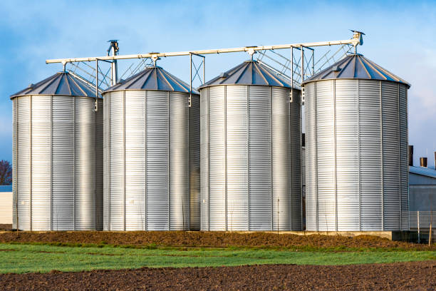 istock Silo in beautiful landscape with dramatical light 1063447098